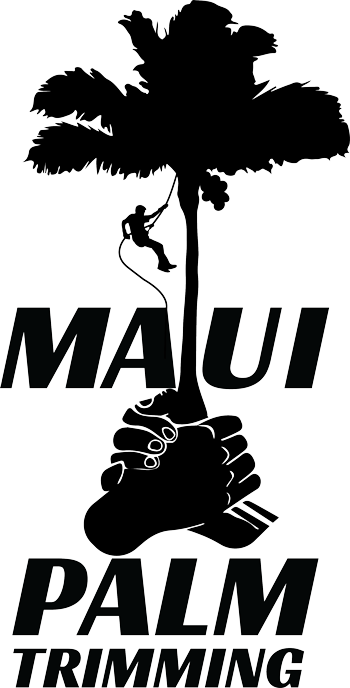 maui-palm-trimming-logo