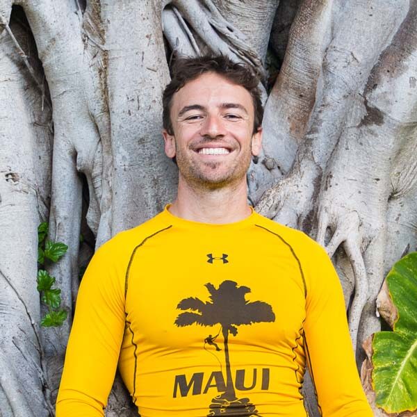 maui-palm-trimming-dave-elberg